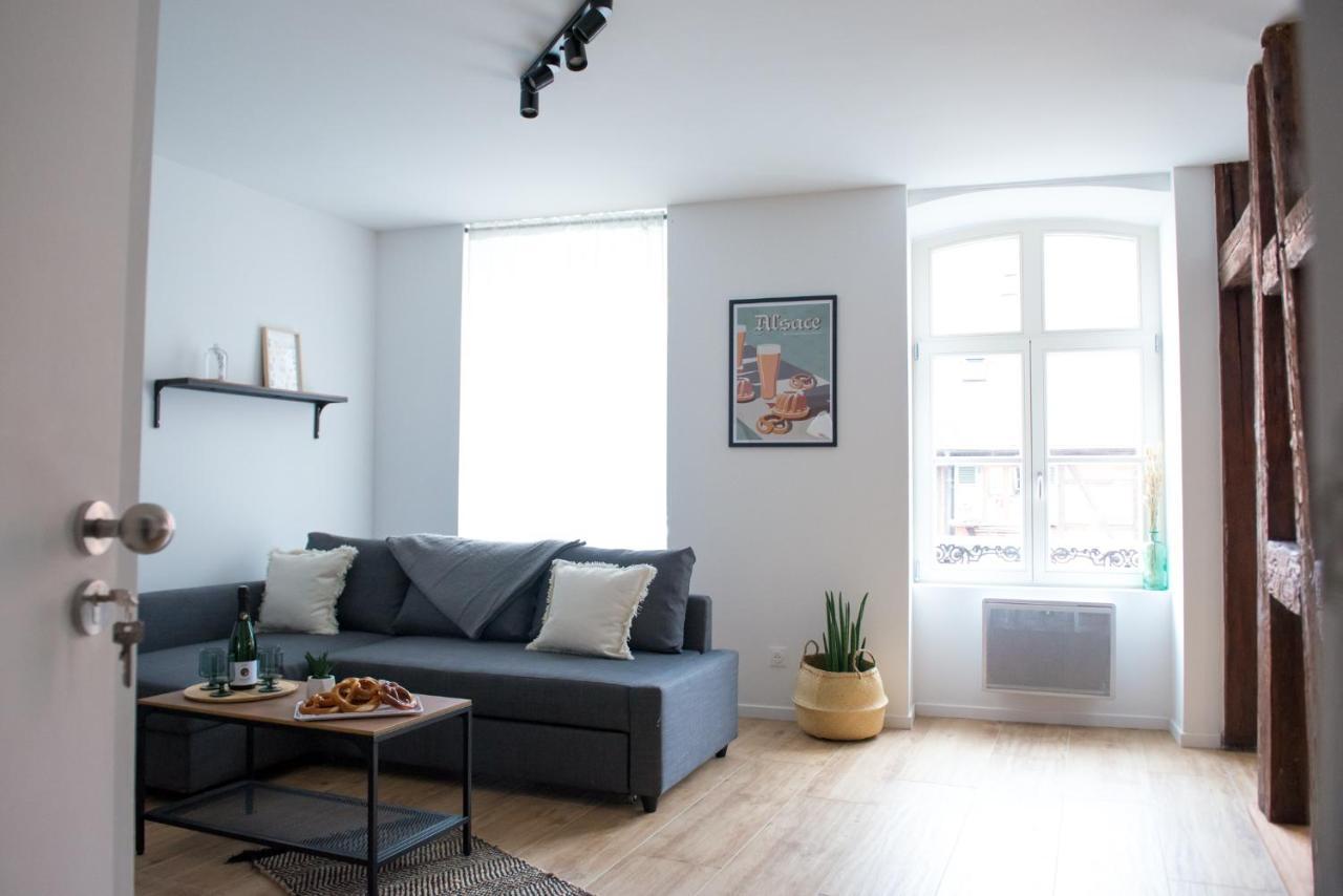 La Pomme Du President I Apartment Selestat Luaran gambar